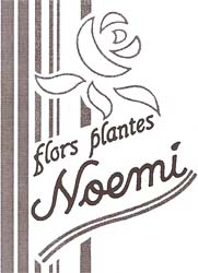 Flors i Plantes Noemí